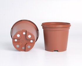 Bild vom Artikel 11,0 cm 5° 8 Loch mit der Artikelnummer T0015