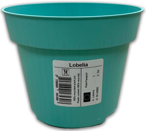 Etikett Lobelia
