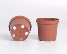 Bild vom Artikel 7,0 cm 5° 5 Loch mit der Artikelnummer T0001